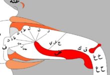 মাখরাজ কাকে বলে মাখরাজের ১৭টি কি কি